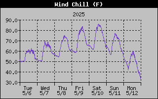 Wind Chill History